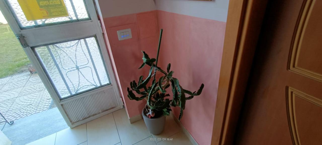 La Magnolia B&B Gassino Torinese Εξωτερικό φωτογραφία